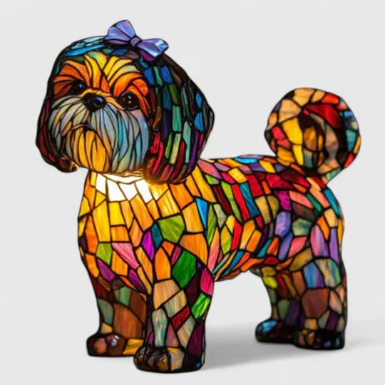 L'Envoûtement Magique de la Princesse